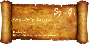 Szekér Gyula névjegykártya